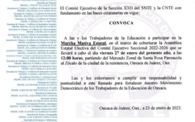 Marcha masiva de la Sección 22