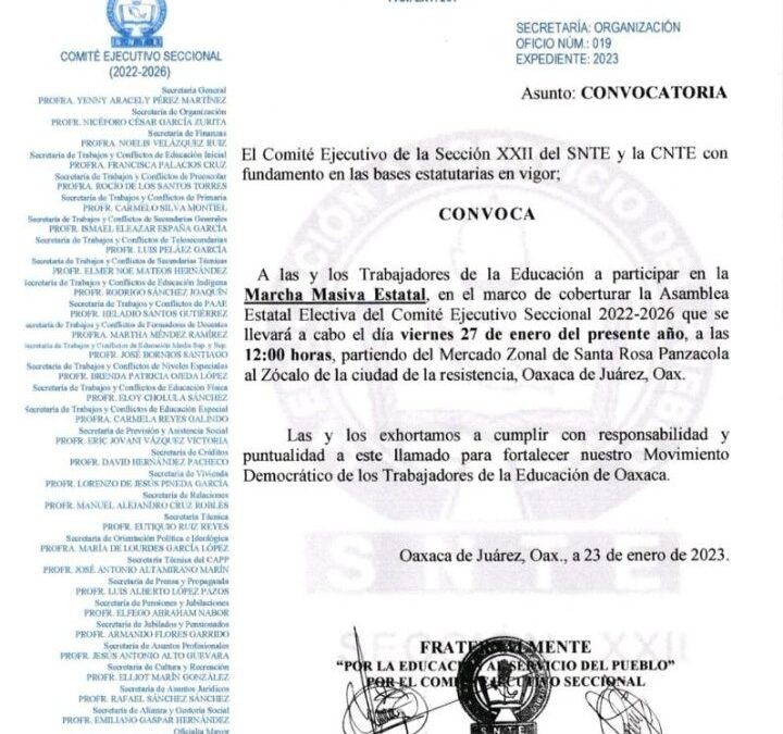 Marcha masiva de la Sección 22