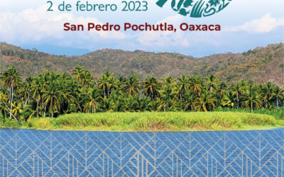 Encabezará Gobierno del Estado conmemoración del Día Mundial de los Humedales