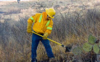 Gobierno de Oaxaca actúa para proteger la zona arqueológica de Yagul y la población de jaguar