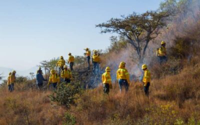 Coesfo e INAH suman esfuerzos para prevenir que incendios afecten la Zona Arqueológica de Monte Albán