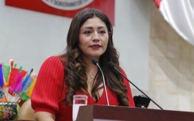 Disputados aprueban iniciativa de Liz Concha para proteger a los hijos de víctimas de Feminicidio