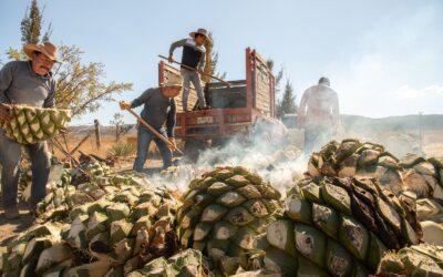 ¡Vota por Oaxaca! Nominado en ocho categorías de Lo Mejor de México 2023