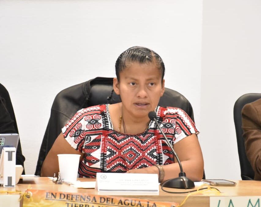 Diputada Irma Juan Carlos presente en el Foro “Las voces ignoradas: hablan las comunidades afectadas y amenazadas por proyectos mineros”
