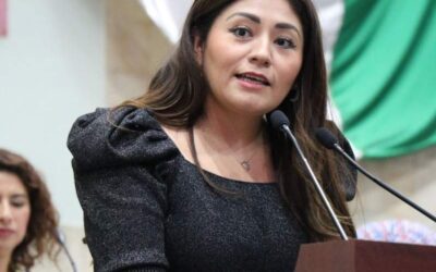 Liz Concha propone Reformar la Constitución para la designación de Comisionados Municipales