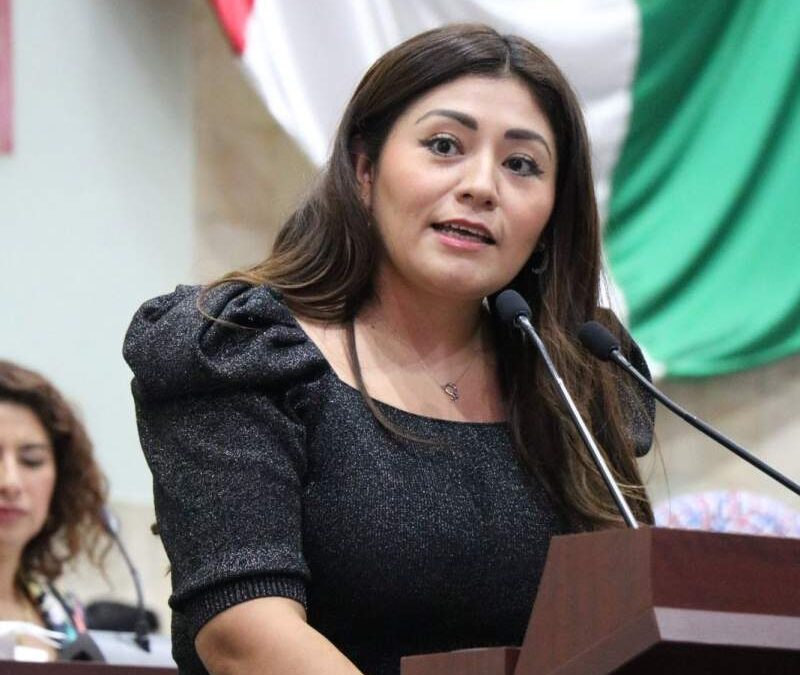 Liz Concha propone Reformar la Constitución para la designación de Comisionados Municipales