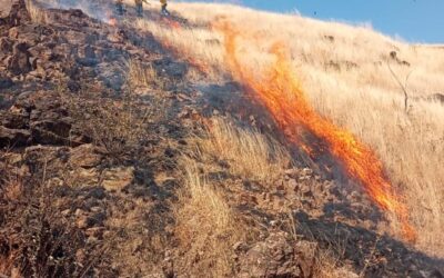 Sofoca Coesfo dos incendios registrados en inmediaciones de Monte Albán