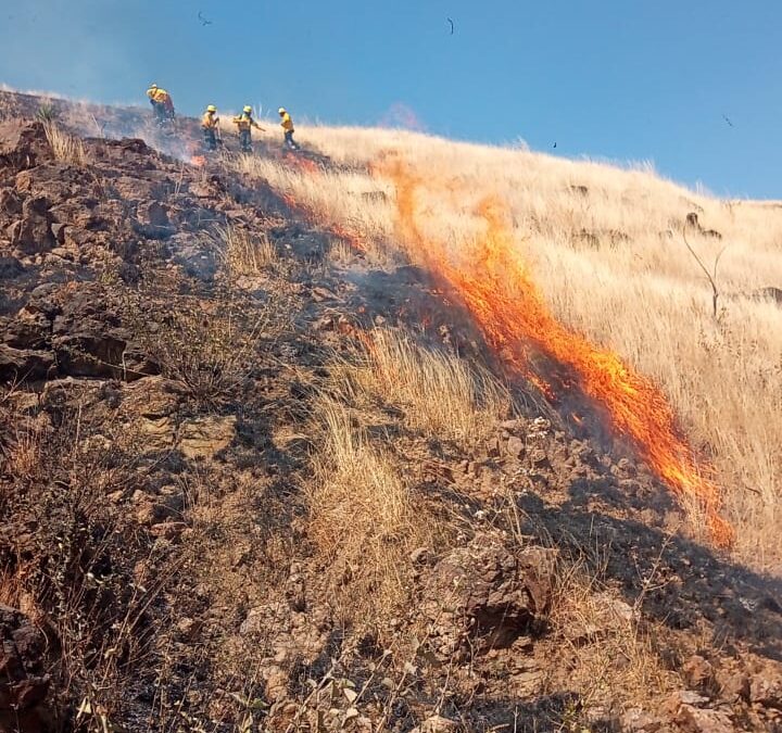 Sofoca Coesfo dos incendios registrados en inmediaciones de Monte Albán