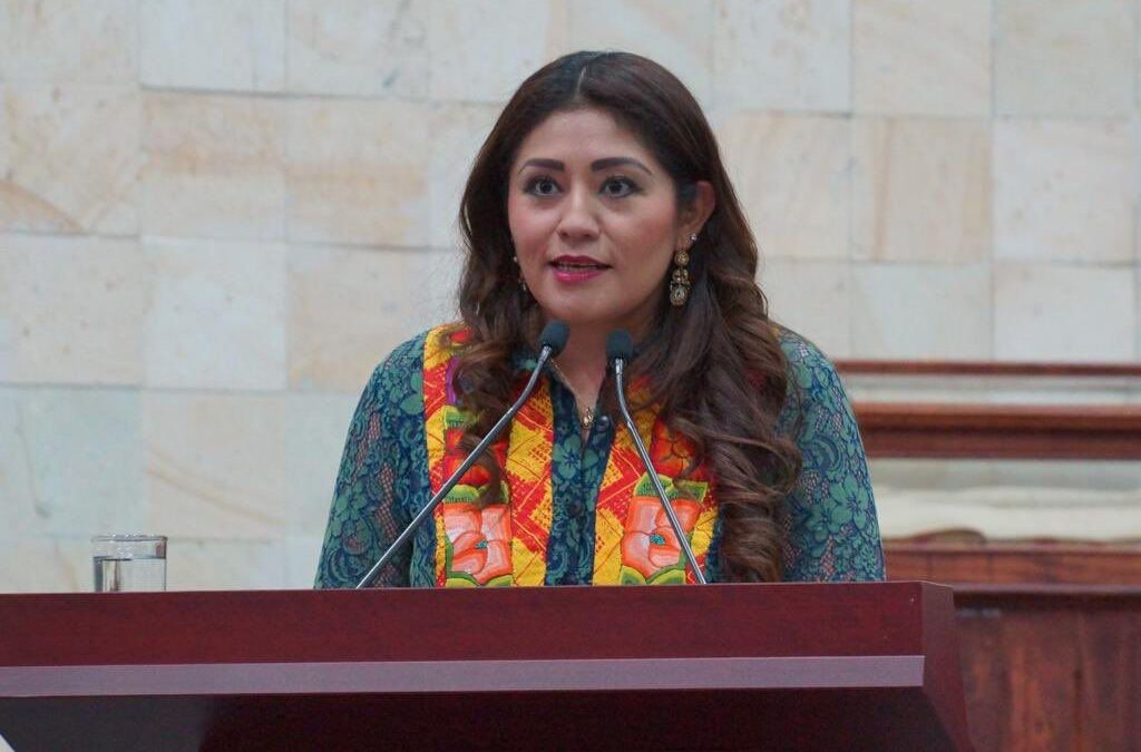Partidos políticos deberán postular a personas con discapacidad para cargos de elección popular. Diputados aprueban iniciativa de Liz Concha