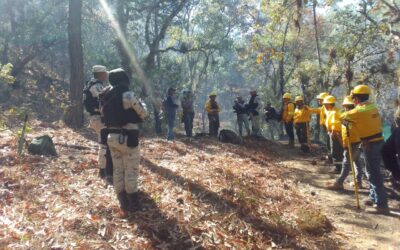 Instancias estatales, federales y municipales liquidan incendios forestales en la Mixteca y Sierra Sur