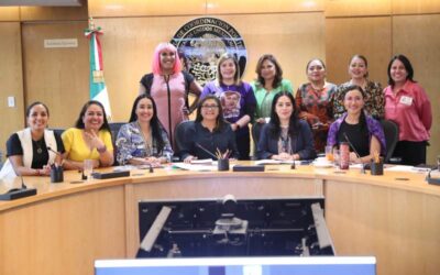 Diputadas del Grupo Plural de Igualdad Sustantiva se reunieron con representantes de ONU Mujeres