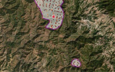 Intensifica Coesfo combate a incendio forestal en paraje Cerro Metate