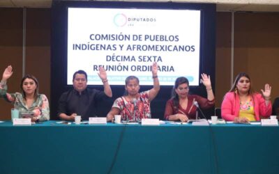 La Comisión de Pueblos Indígenas y Afromexicanos aprobó siete opiniones a reformas a la Constitución Política y diversas leyes