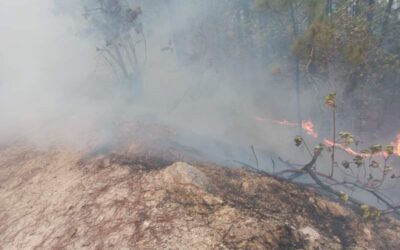 Por incendio forestal en la Mixteca, emite SSO recomendaciones a la población