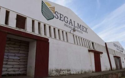 Reportan detención de funcionarios de Segalmex por fraude