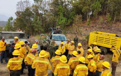 Trabajan 378 personas para sofocar incendio en límites de Mixtepec y Ñumí