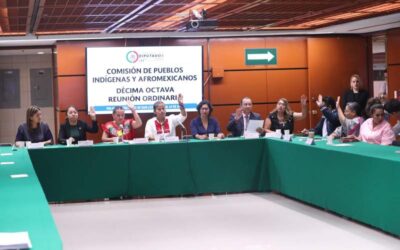 Comisión aprueba once dictámenes que buscan mejorar las condiciones de pueblos indígenas y afromexicanos