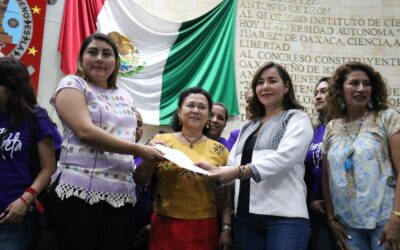 No más violentadores en el gobierno, pide brigada violeta al H. Congreso de Oaxaca