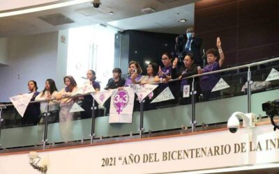 Feministas celebran aprobación de Ley 3 de 3 para deudores alimentarios y agresores sexuales