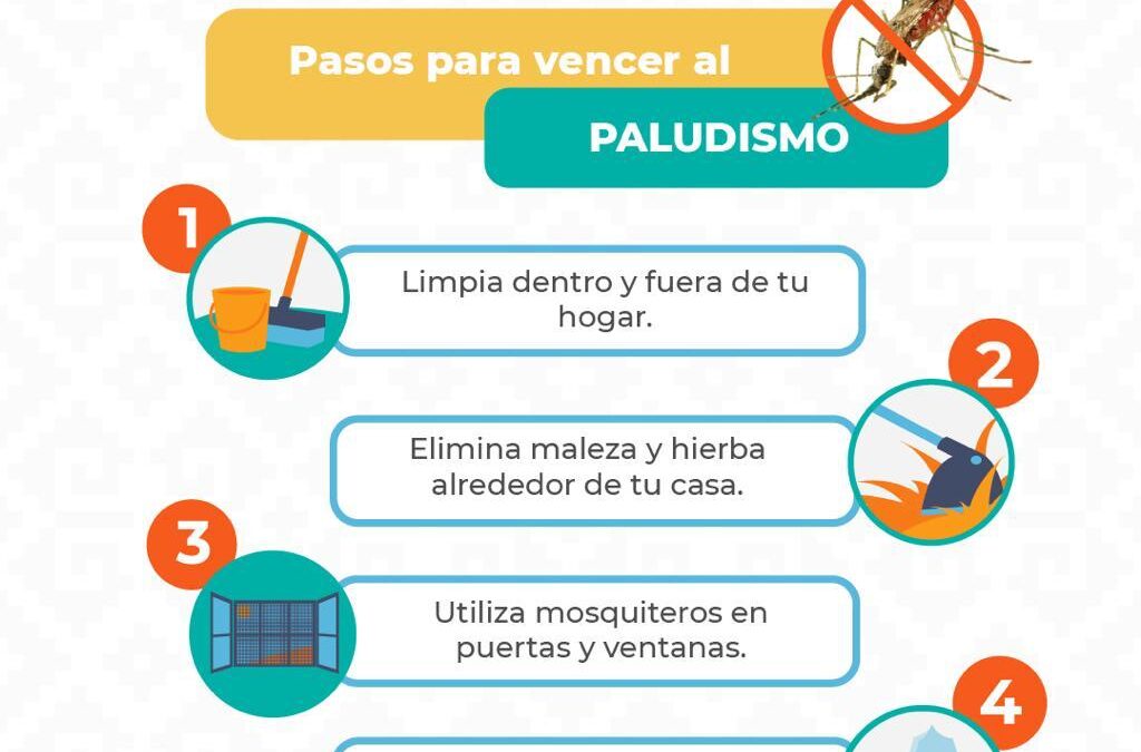 Exhorta SSO a la población a eliminar criaderos del mosquito transmisor del paludismo