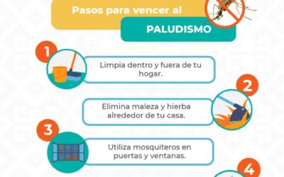 Exhorta SSO a la población a eliminar criaderos del mosquito transmisor del paludismo