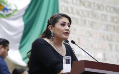 La diputada Liz Concha busca frenar aprobaciones legislativas “fast track”