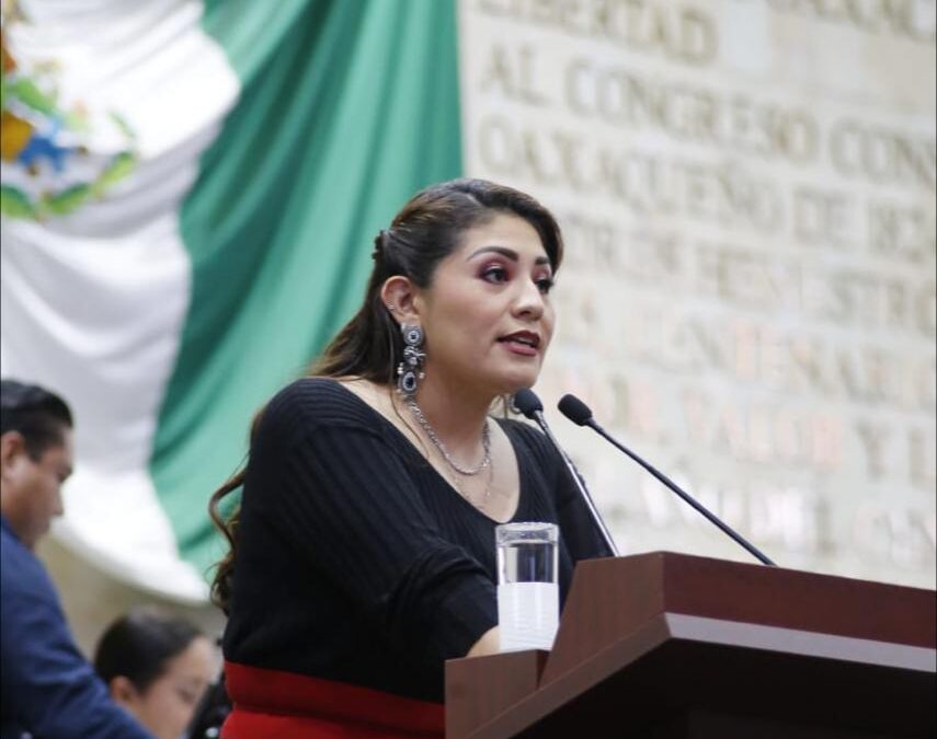 La diputada Liz Concha busca frenar aprobaciones legislativas “fast track”