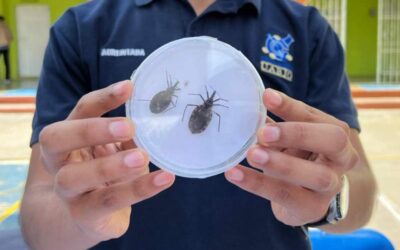 Chagas, causante de problemas cardíacos: SSO