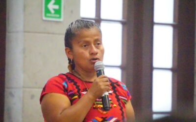 Exhorta diputada Irma Juan Carlos al Senado, a tramitar minuta sobre ley de consulta indígena