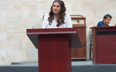 Oaxaca ocupa el penoso cuarto lugar nacional por muertes maternas: revela la diputada Liz Concha