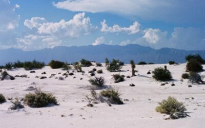 Hallan en desierto de Coahuila los cuerpos de dos migrantes; buscan otros dos