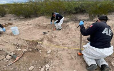 Hallan once cuerpos en una fosa clandestina en Chihuahua; podrían ser de migrantes desaparecidos