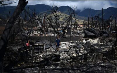 Mueren dos mexicanos en incendios forestales de Hawái