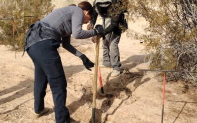 Sube a 18 cadáveres en la fosa de Miguel Alemán