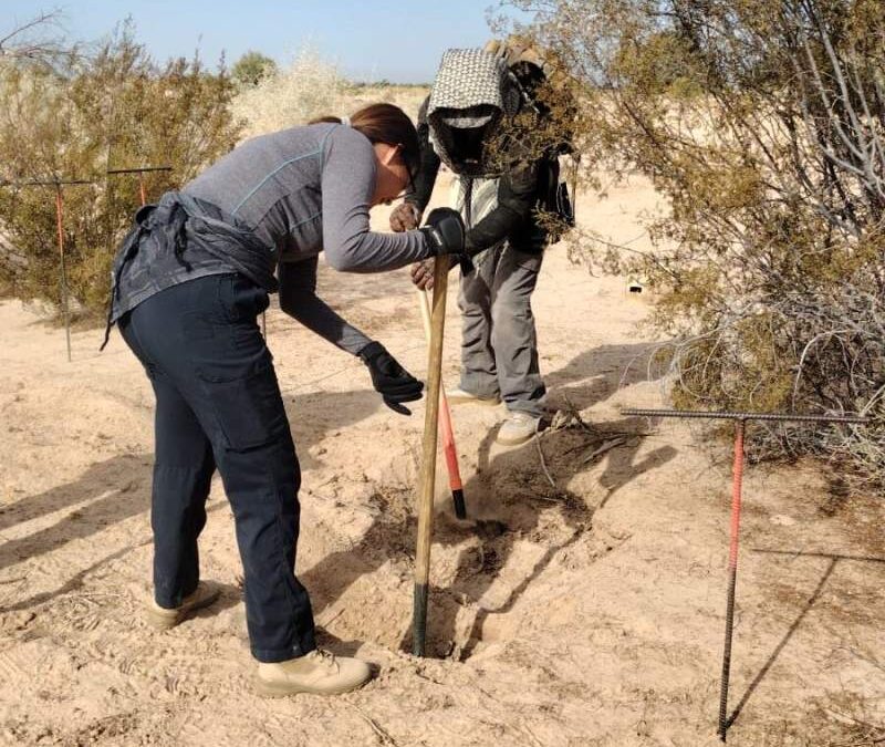 Sube a 18 cadáveres en la fosa de Miguel Alemán