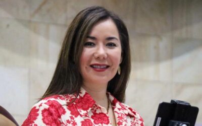 Propone diputada Haydeé Reyes Soto iniciativa para establecer acciones integrales, programas y estrategias para la prevención del suicidio