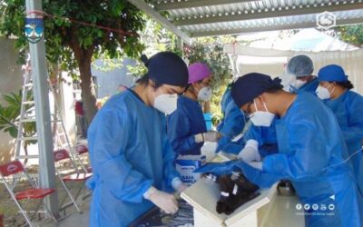 Facultad de Veterinaria UABJO, una de las mejores del sureste