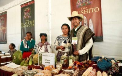 Gobierno de Oaxaca trabaja por la soberanía alimentaria y la autosuficiencia en maíz