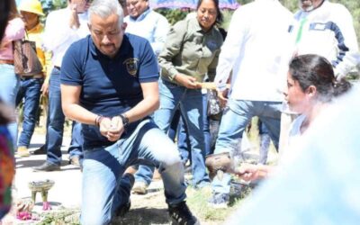 UABJO comprometida con la reforestación de Monte Albán