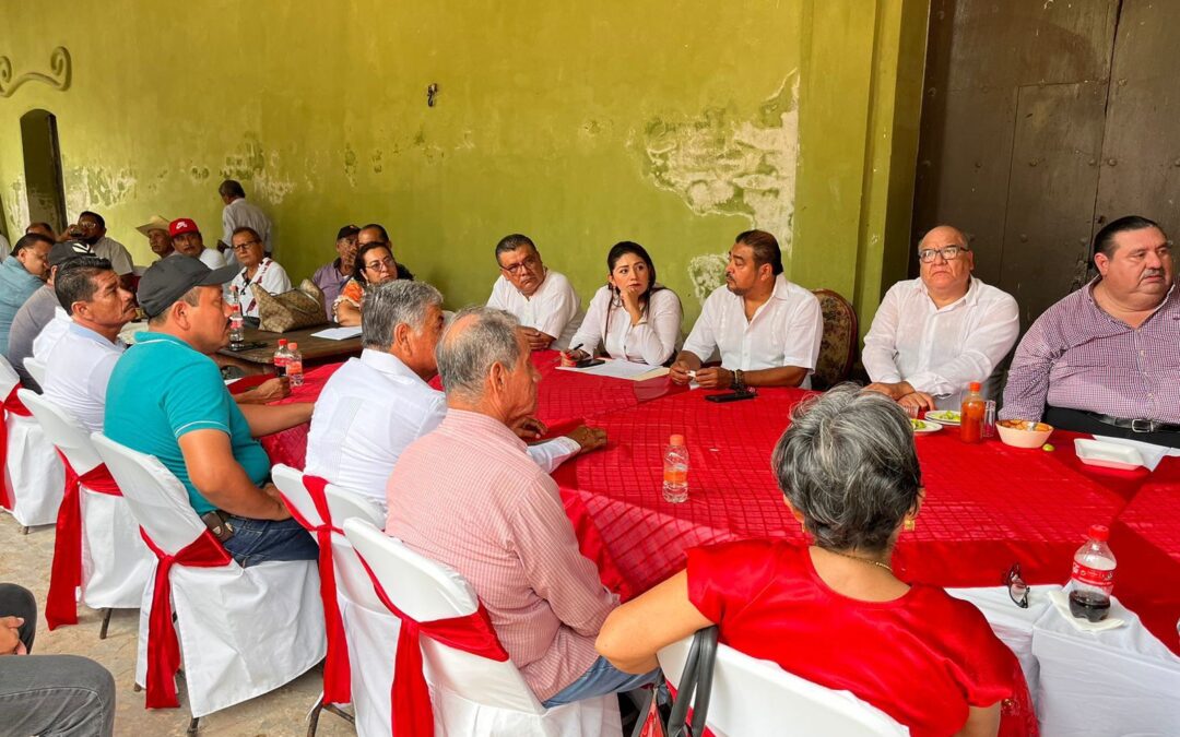 Estamos fortaleciendo a los comités municipales y a los delegados del PRI en Oaxaca: Liz Concha