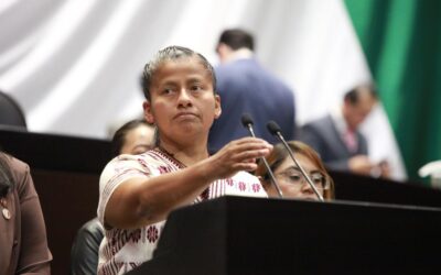 Hoy se garantiza educación inclusiva y humanista a  pueblos indígenas y afromexicanos: Irma Juan Carlos