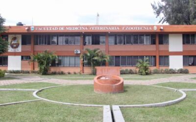 Facultad de veterinaria UABJO actualiza plan de estudios acorde con necesidades de Oaxaca
