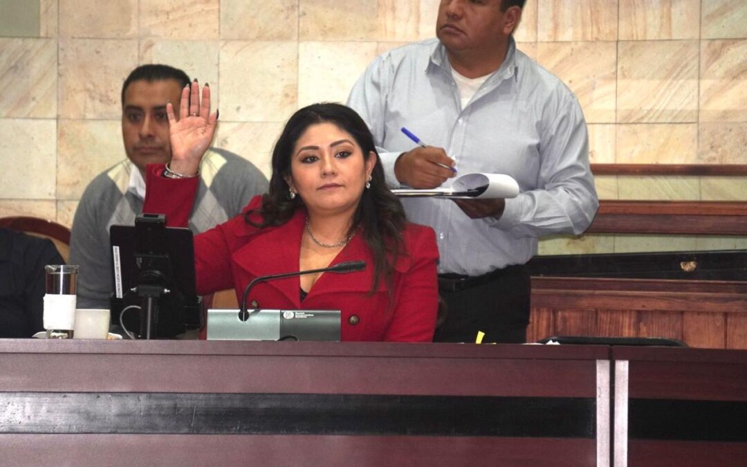 La diputada Liz Concha propone que en Oaxaca haya alternancia en todas las instituciones