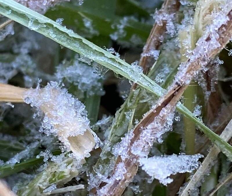 Activa Protección Civil monitoreo ante descenso de temperaturas