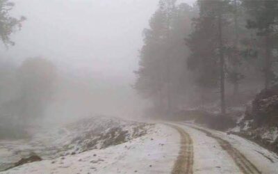 Habrá heladas, vientos del norte y temperaturas mínimas de hasta 3 grados en Oaxaca