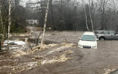 Tormenta invernal deja 5 muertos y 600 mil hogares sin electricidad en EE.UU.