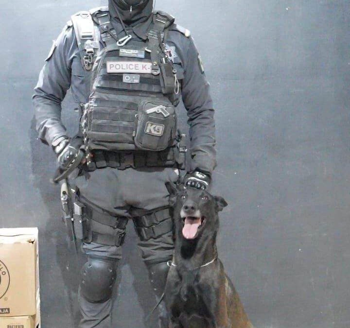 Realiza Ayuntamiento operativo en bares de Oaxaca de Juárez