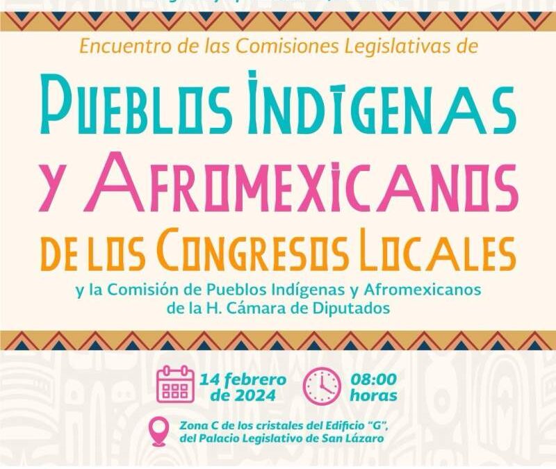 Anuncia Diputada Federal Irma Juan Carlos, cumbre de legisladores indígenas locales en San Lázaro