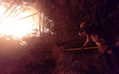 Atiende Coesfo tres Incendios en diversos puntos de Oaxaca