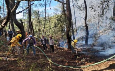 Coesfo liquida y controla cinco incendios en Oaxaca